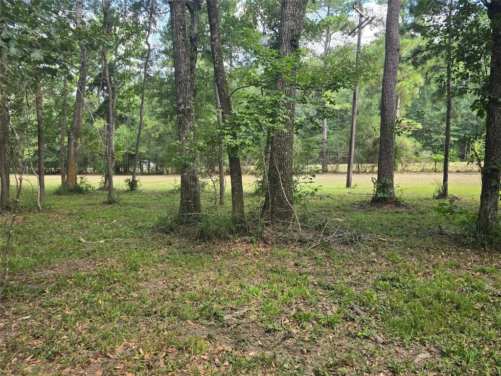 000 Tbd Hwy 150 W, Coldspring