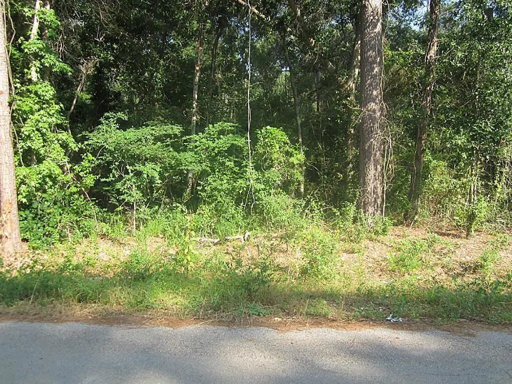 31127 Primrose Lane, Magnolia