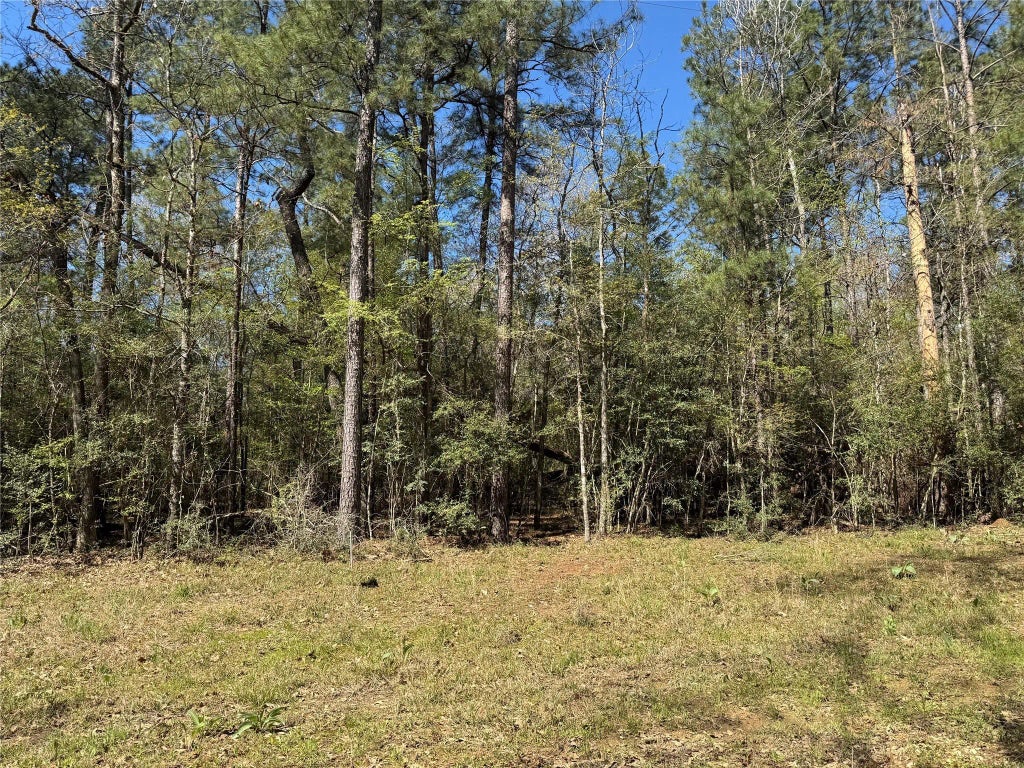 Tbd County Road 2142 B, Cleveland