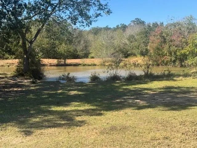 Tbd Old Bundick Road, Hearne