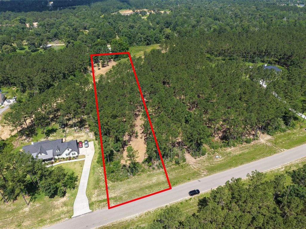 15625 Forest Grove Drive, Willis