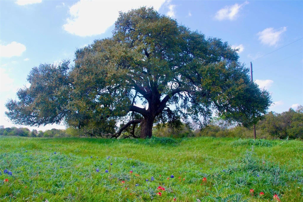 450 County Road 217c, Schulenburg