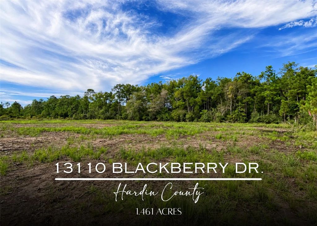 13110 Blackberry Drive, Lumberton
