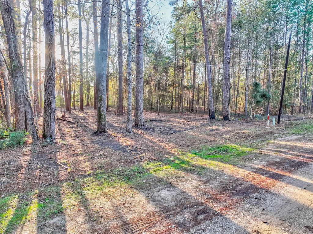 171 Pine Shadow Street, Coldspring