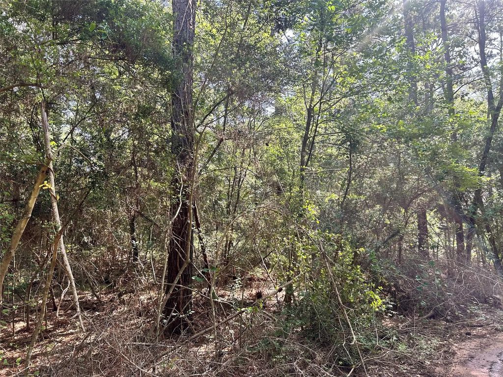 Lot 28 Sycamore Lane, Plantersville