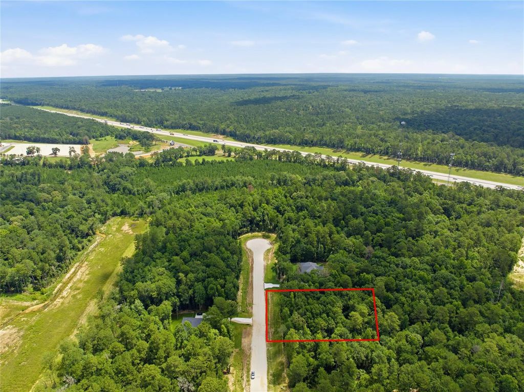 222 Hollow Hill Drive, New Waverly