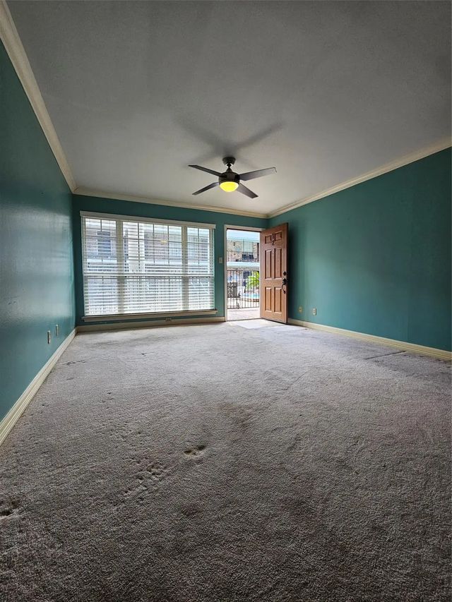 2507 Montrose Boulevard 12, Houston