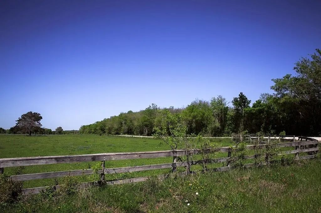 Tbd Caney Creek Rd, Chappell Hill