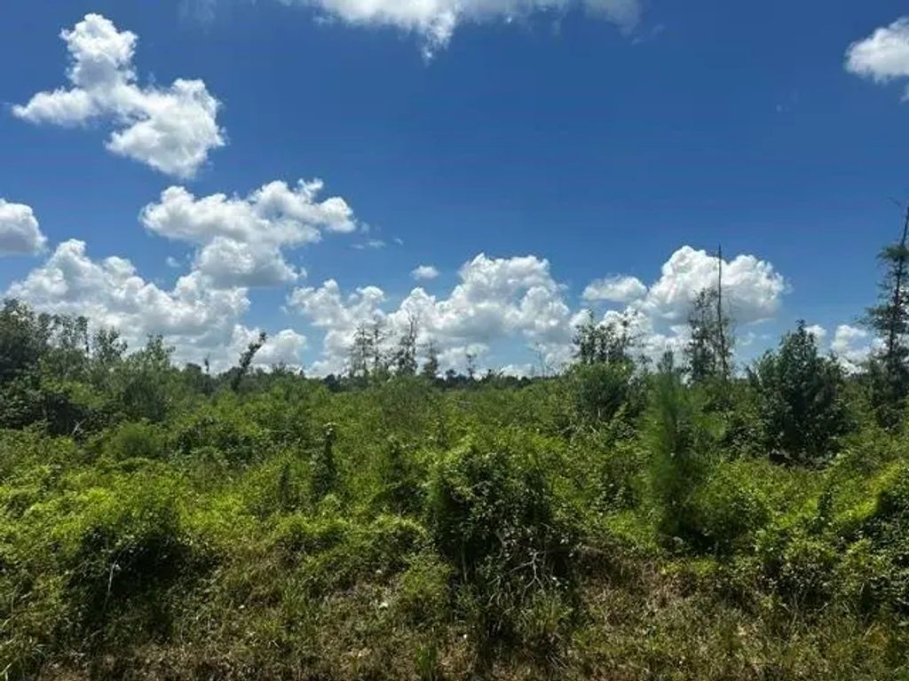 Piney Point Lane, Beaumont