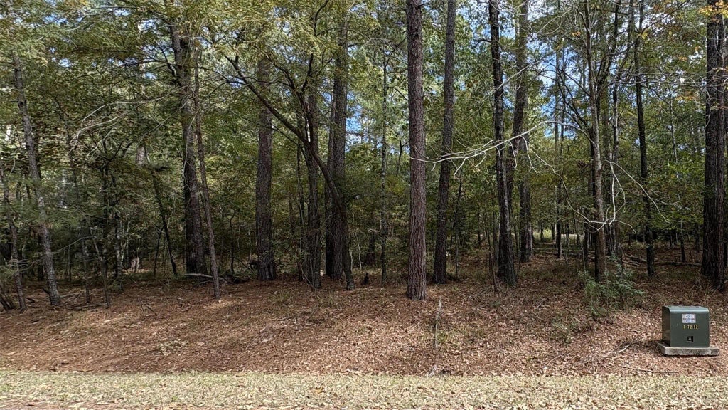 103 Green Tree Drive, Coldspring