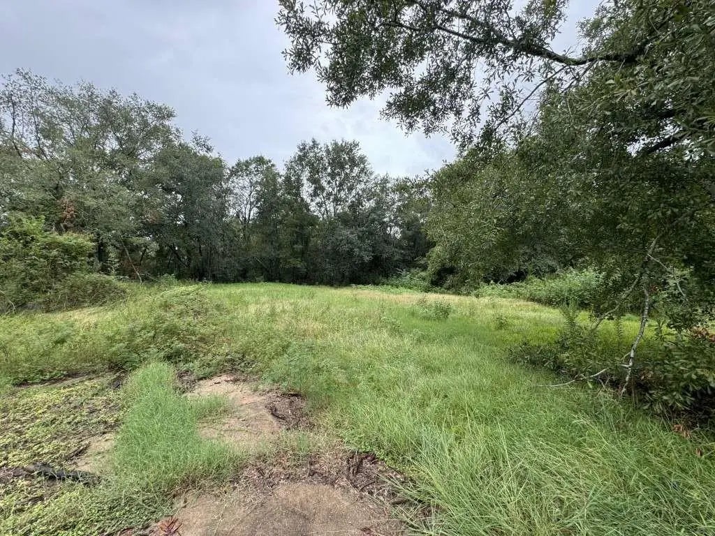 785 Young Street, Bridge City