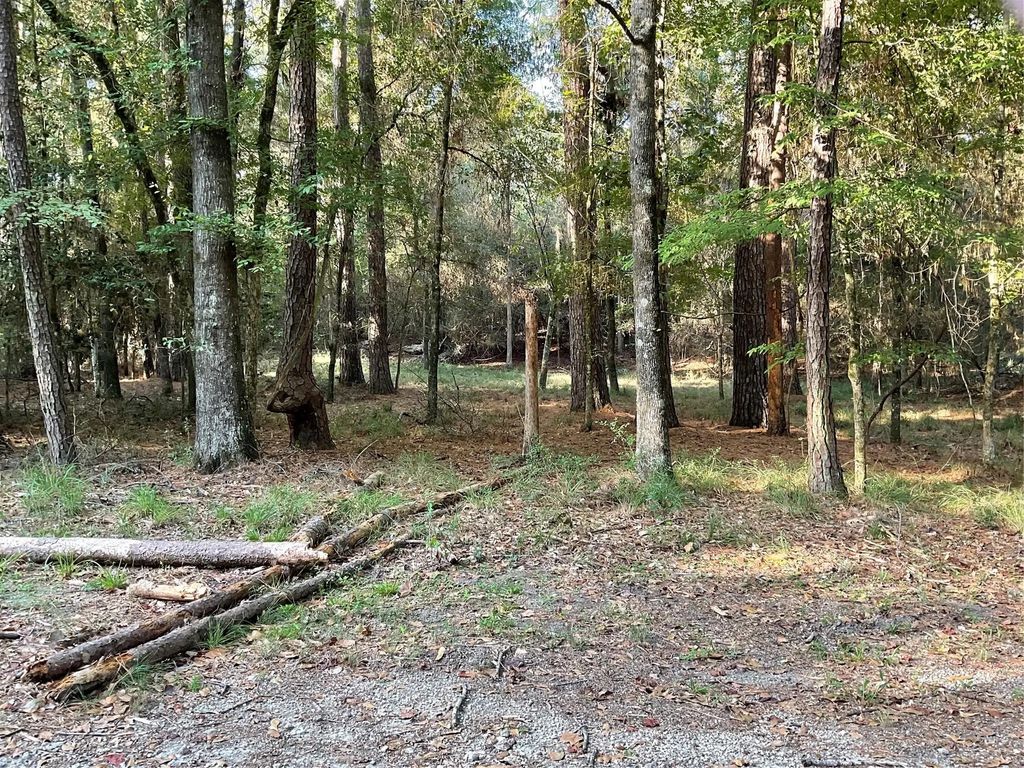 Winding Creek Drive, Trinity