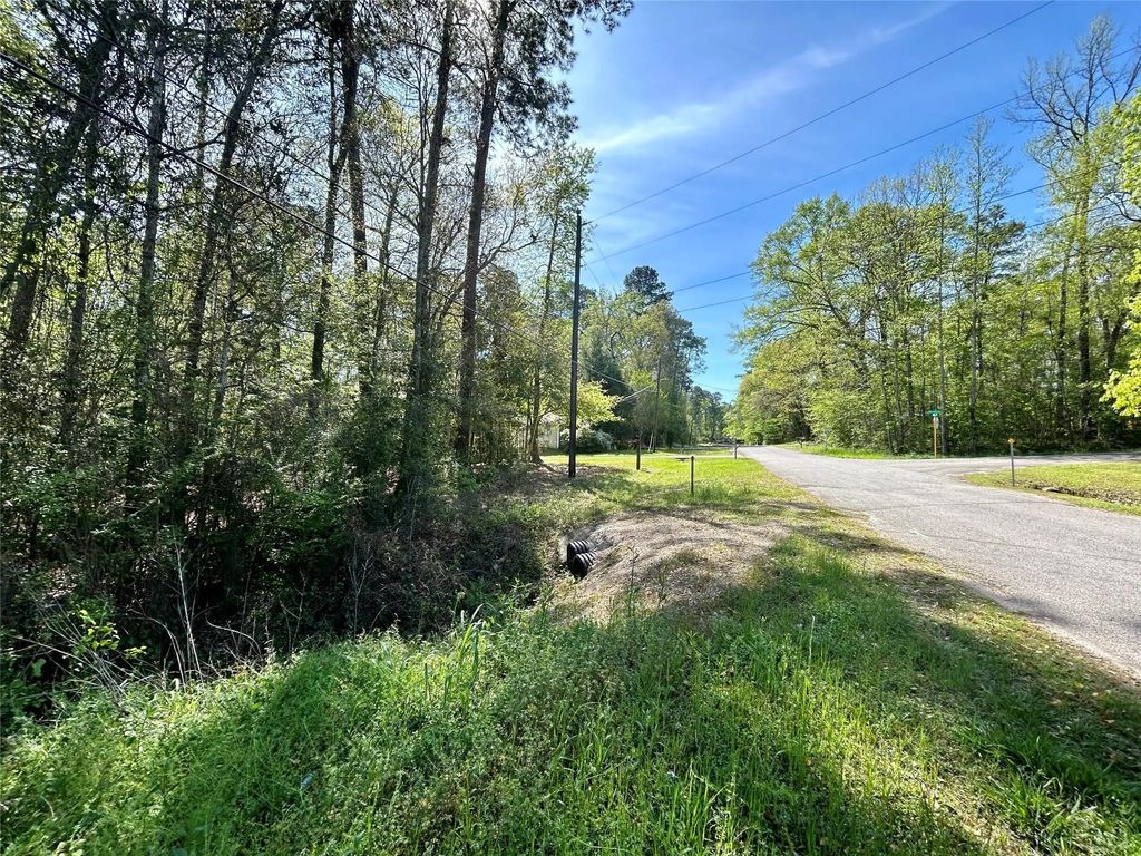 Lot 77-a Royal Lake Drive, Conroe