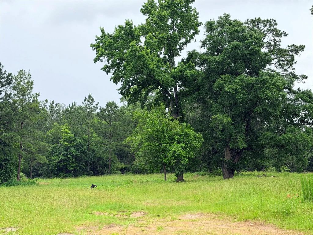 117 Private Road 7512, Woodville