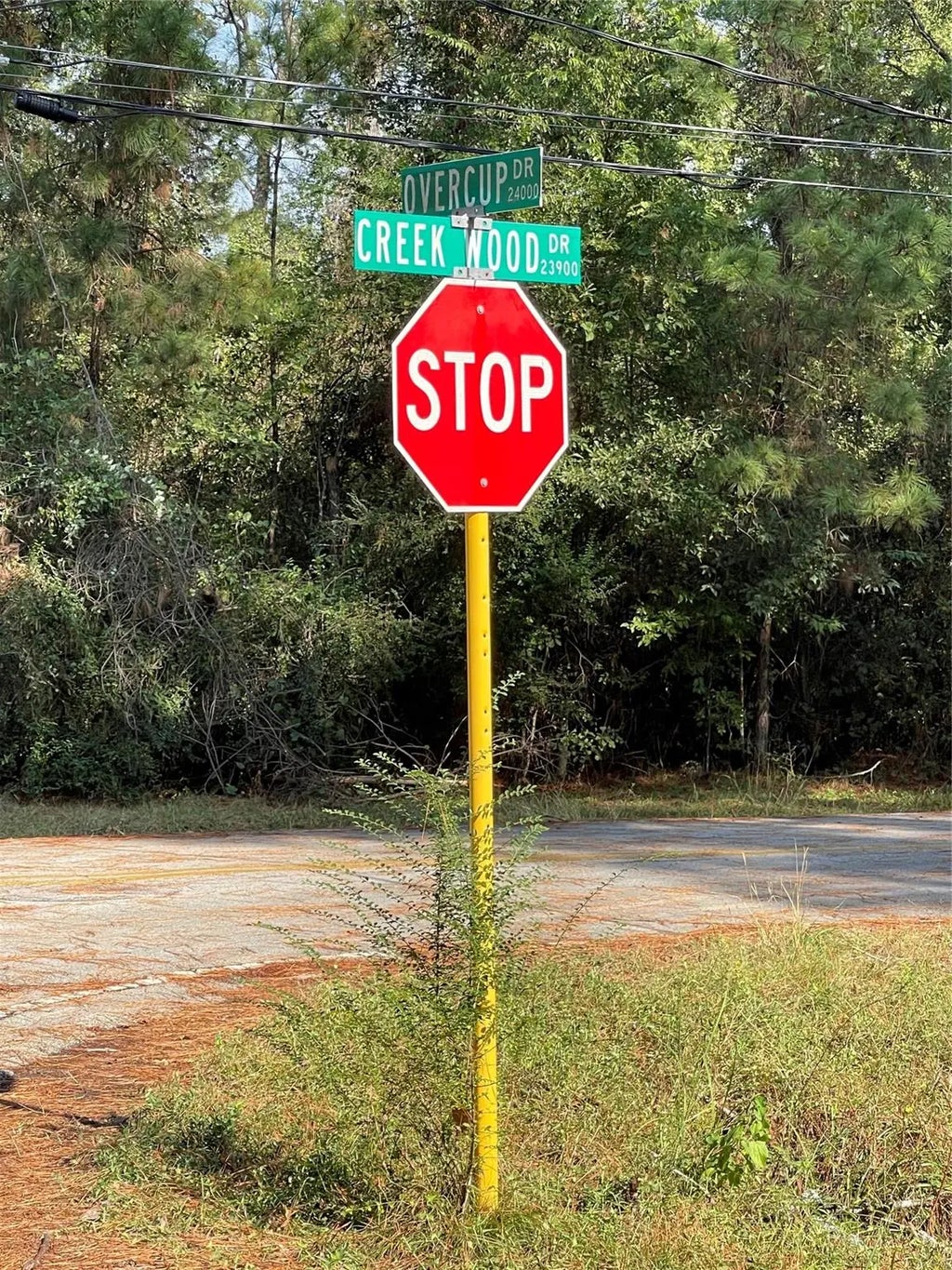 Overcup Drive, Spring