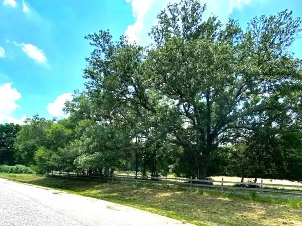 9 Live Oak Trail, Cypress