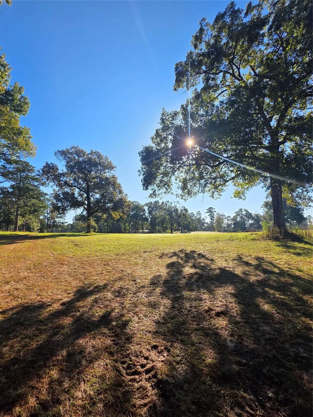 860 Easy Street Road, Livingston