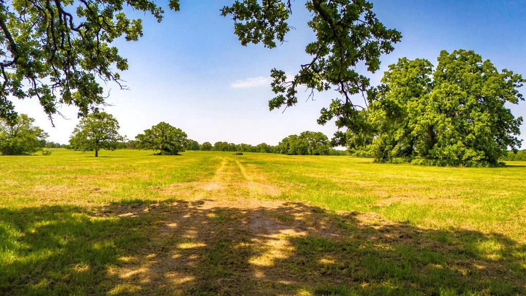 Tbd Tract 8 Boyd Road, Madisonville