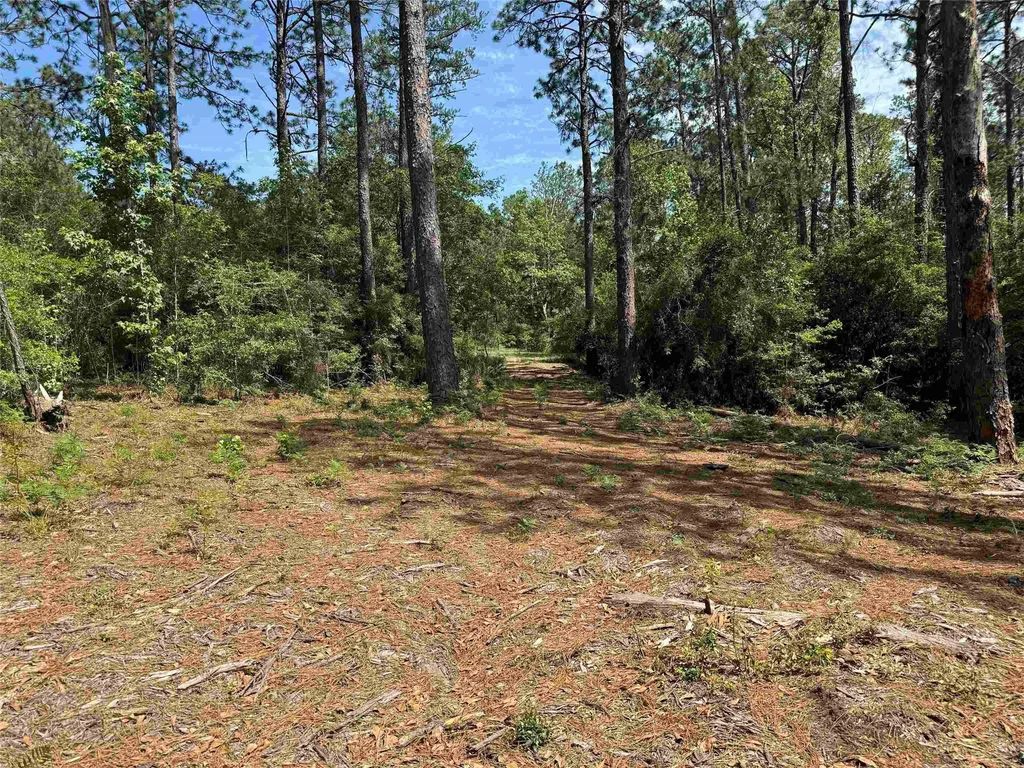 565 Sparkleberry Drive, Brookeland