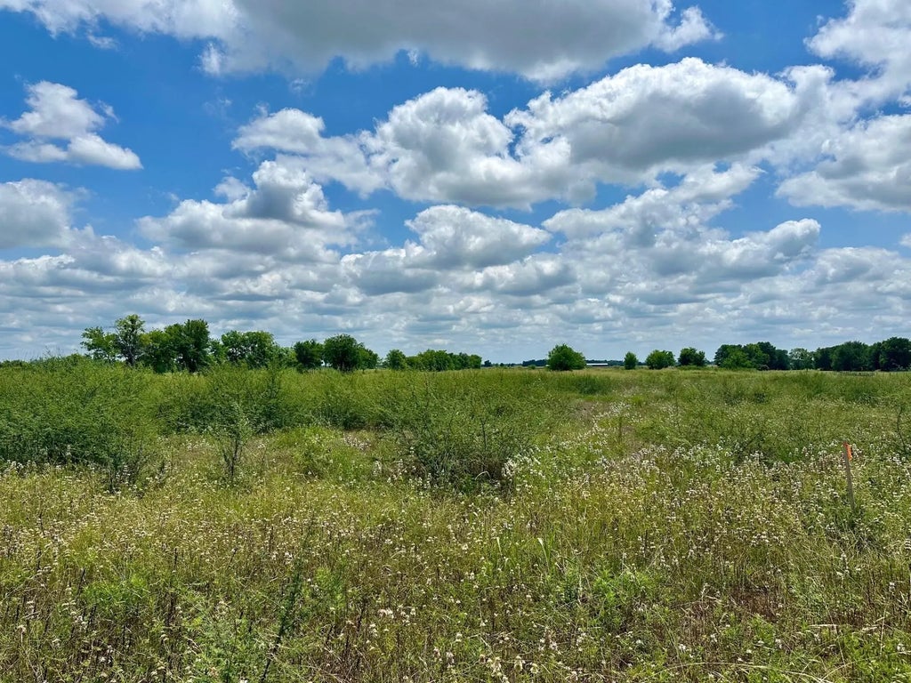 Lot 48 Back Nine Lane Lane, Navasota