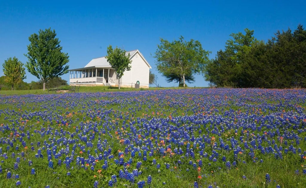 3831 Meadow View Lane, Fayetteville