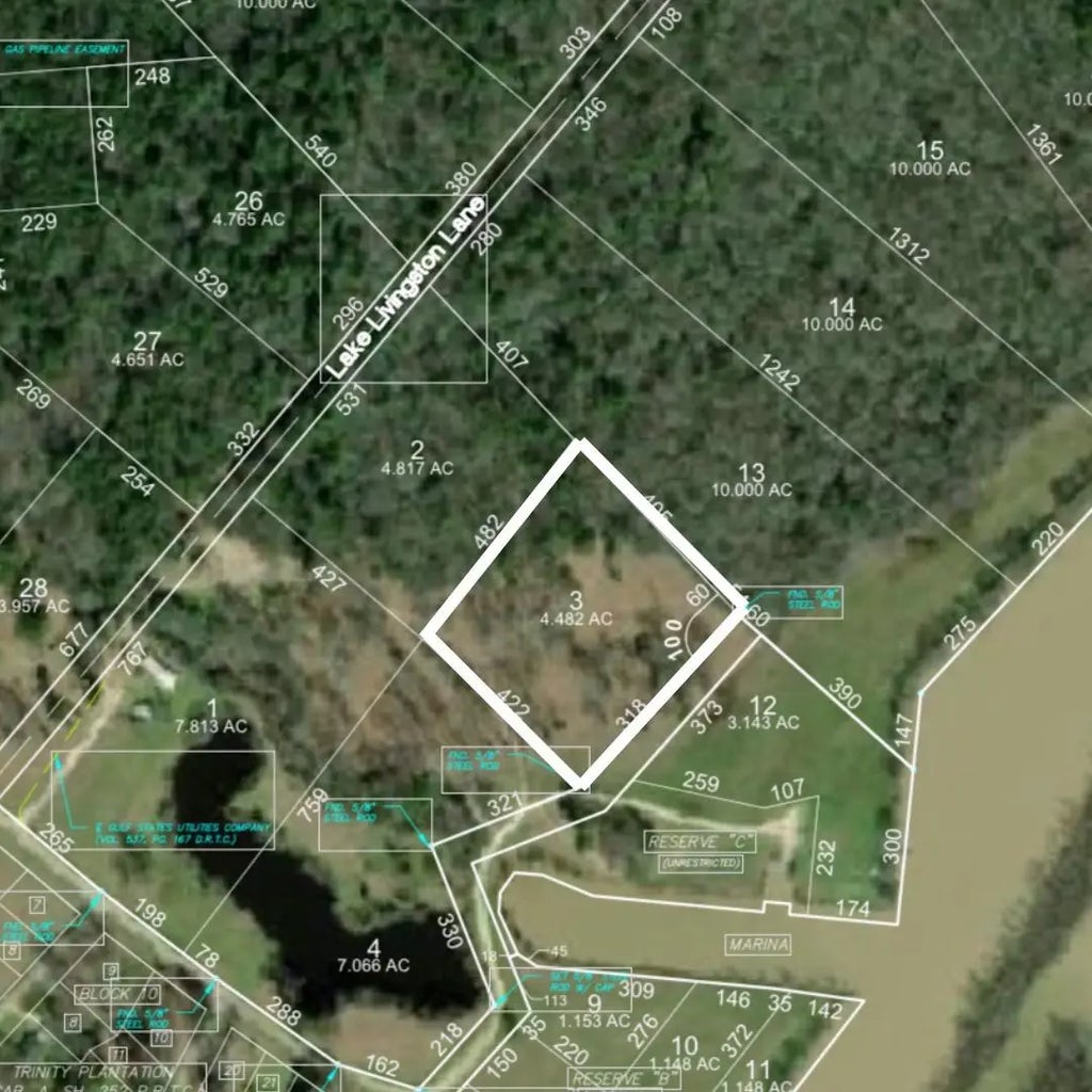 Lot 3 Lake Livingston Lane, Trinity