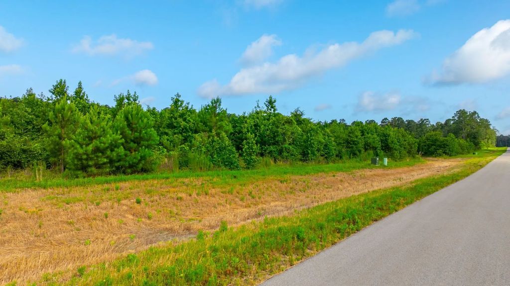16151 Forest Mill Rd Road, Willis