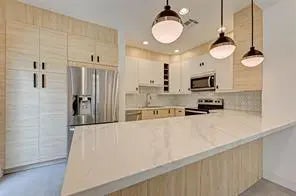 701 Bering Drive 103, Houston