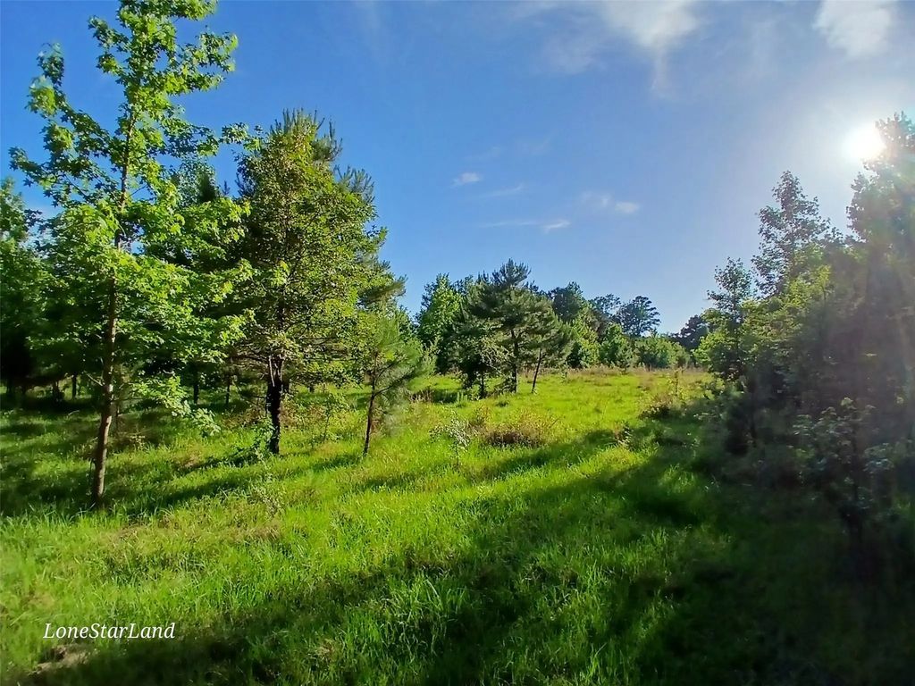 475 County Road 4421, Pittsburg