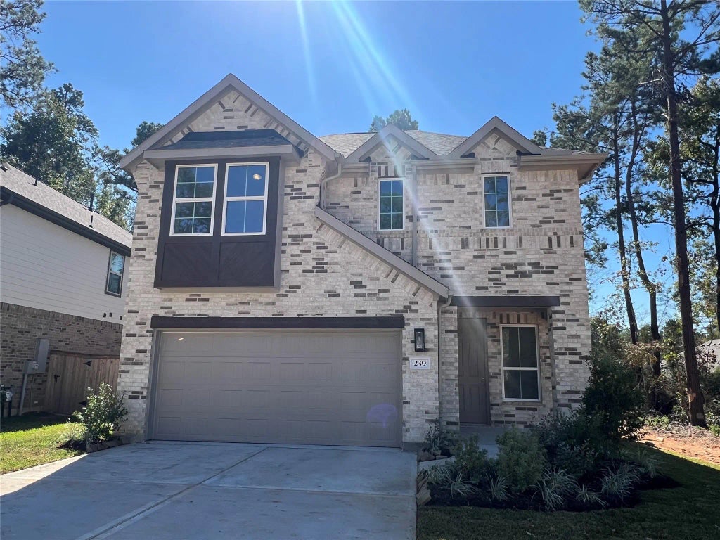 239 Brecon Buff Drive, Willis