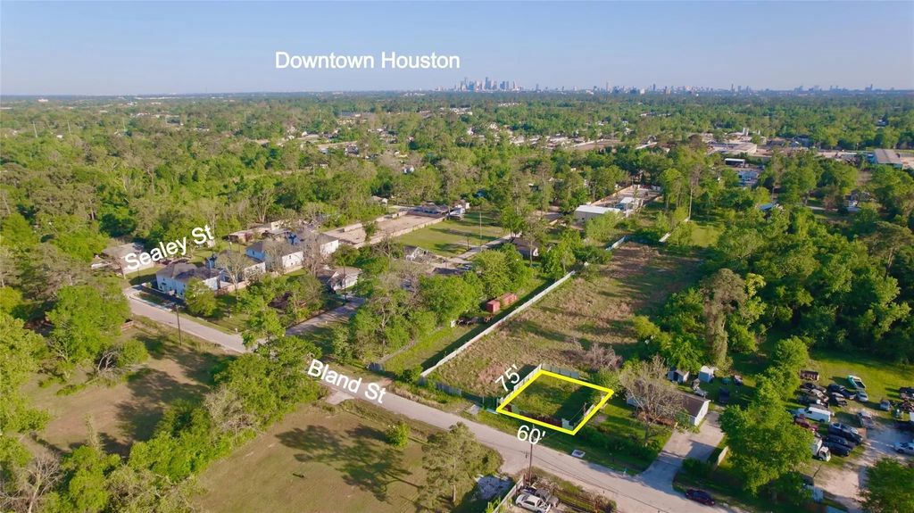 Bland Street, Houston