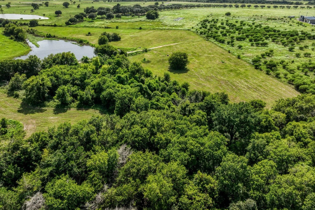 1554 Bluebonnet Ridge Dr, Chappell Hill