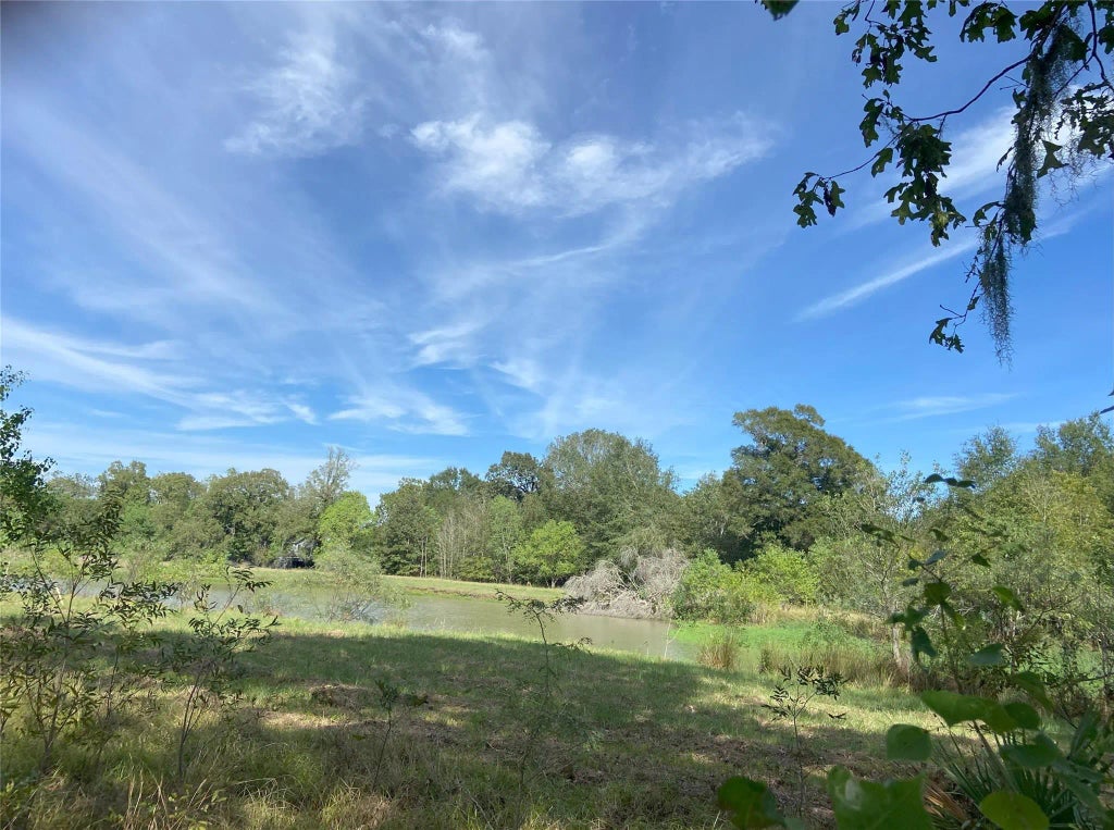 Tbd Sour Lake Cir, Cleveland