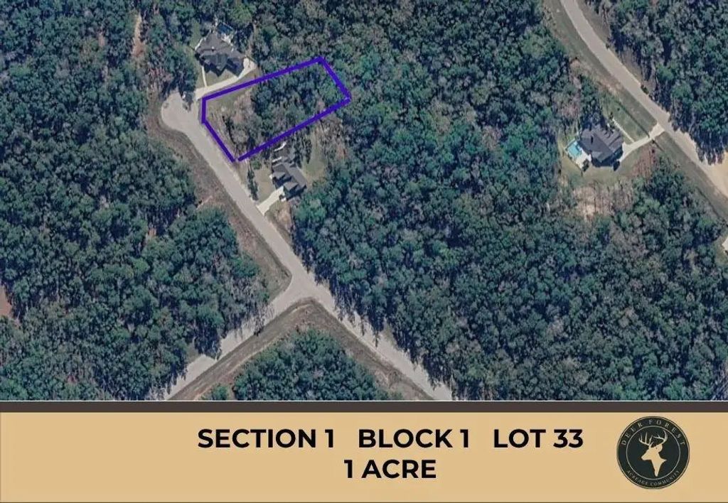 147 Eagle Run Road, Willis