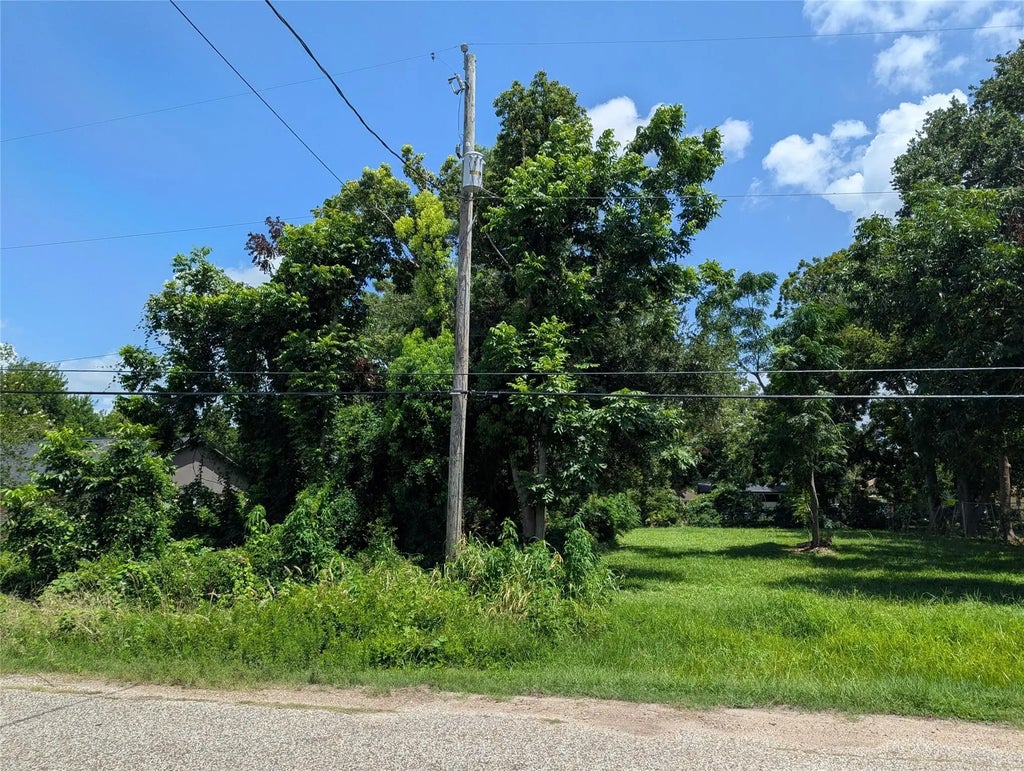 Thompson Street, La Marque