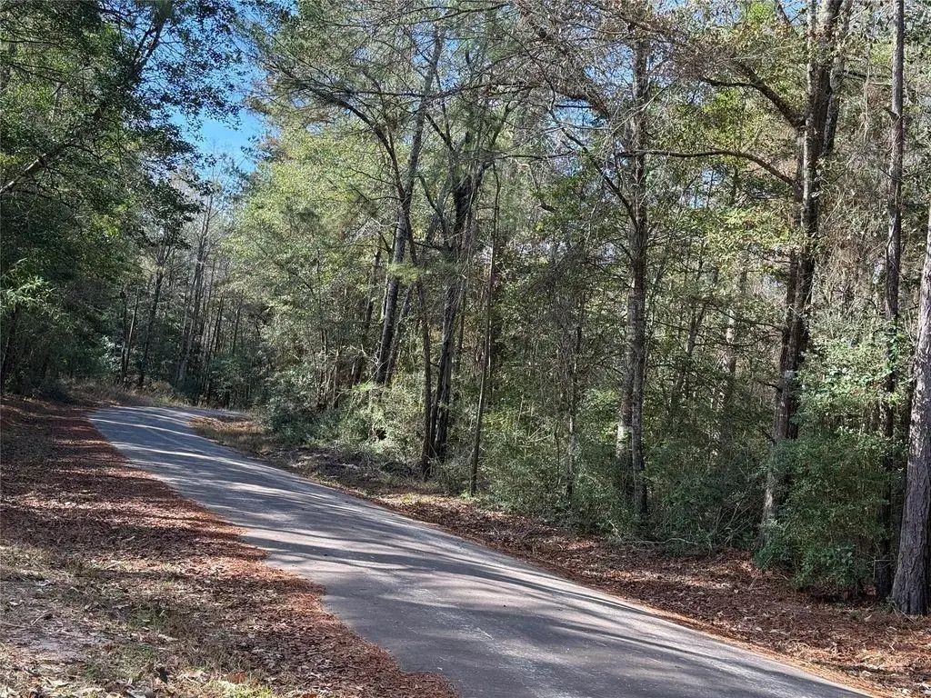Lot 3 John Keely Road, Zavalla