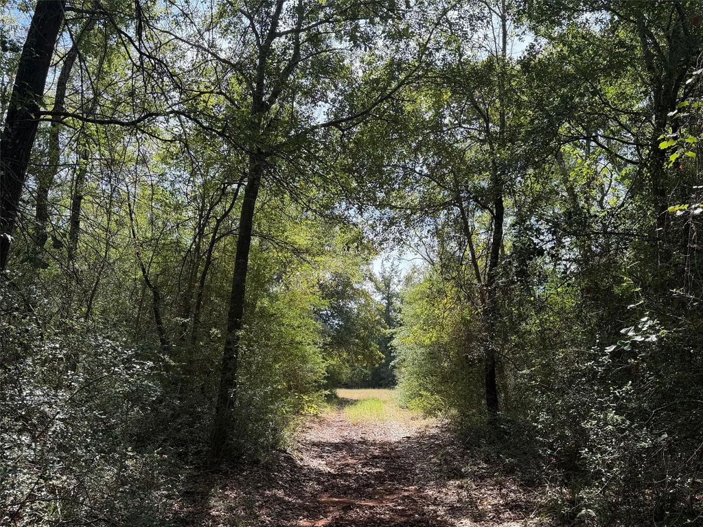12 Ac Pr 4140, Marquez