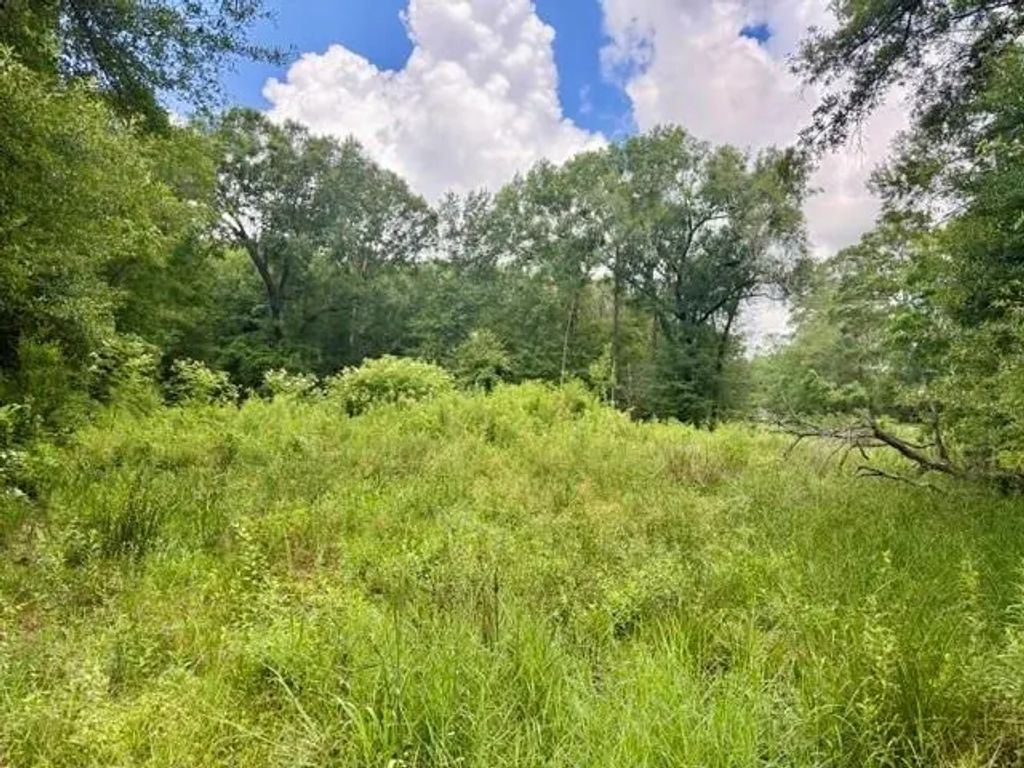 1000 Butler Road, Vidor