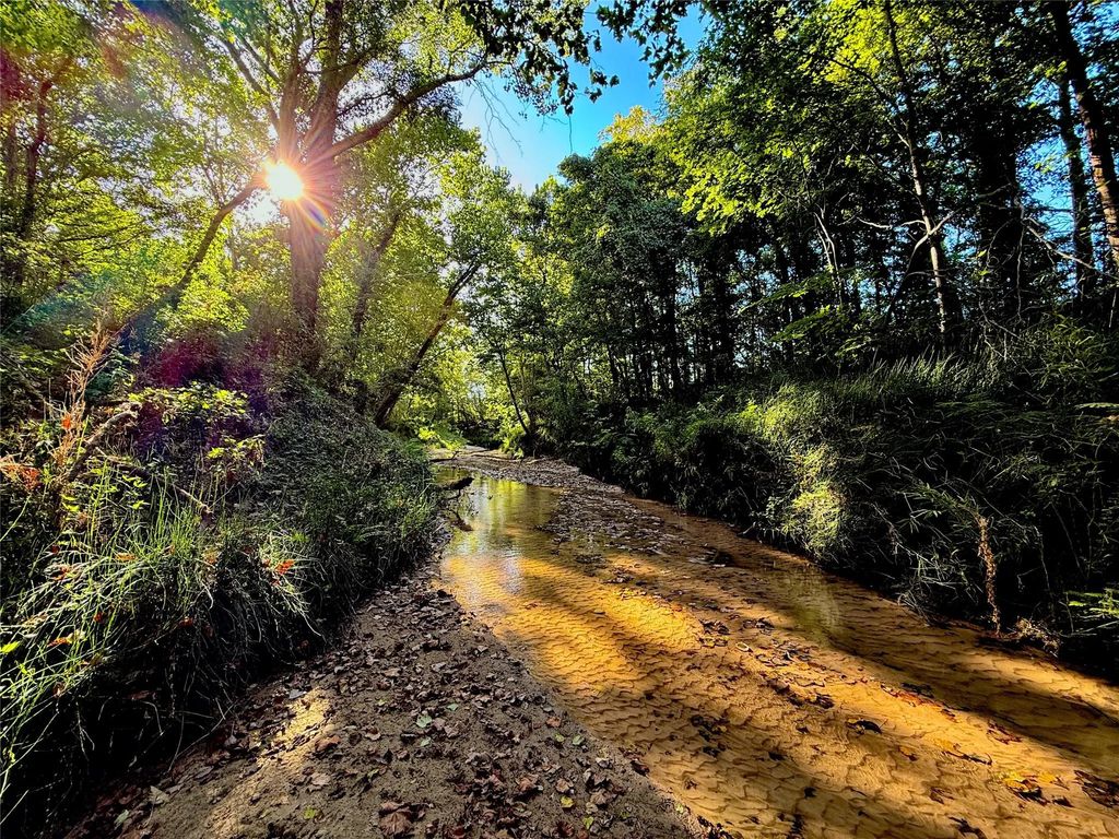 700 County Road 4120, Woodville