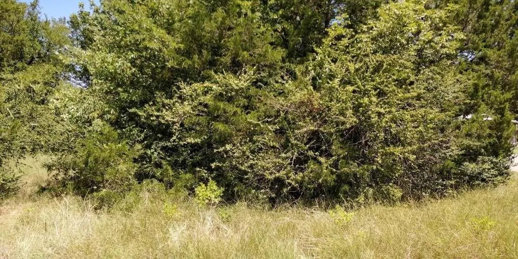 Lots 634 & 635 Shoshone Drive, Gordonville