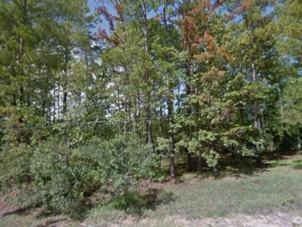 340 Oak Tree Drive, Point Blank