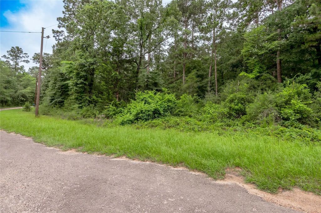 Lot 56 Post Oak Circle, Trinity
