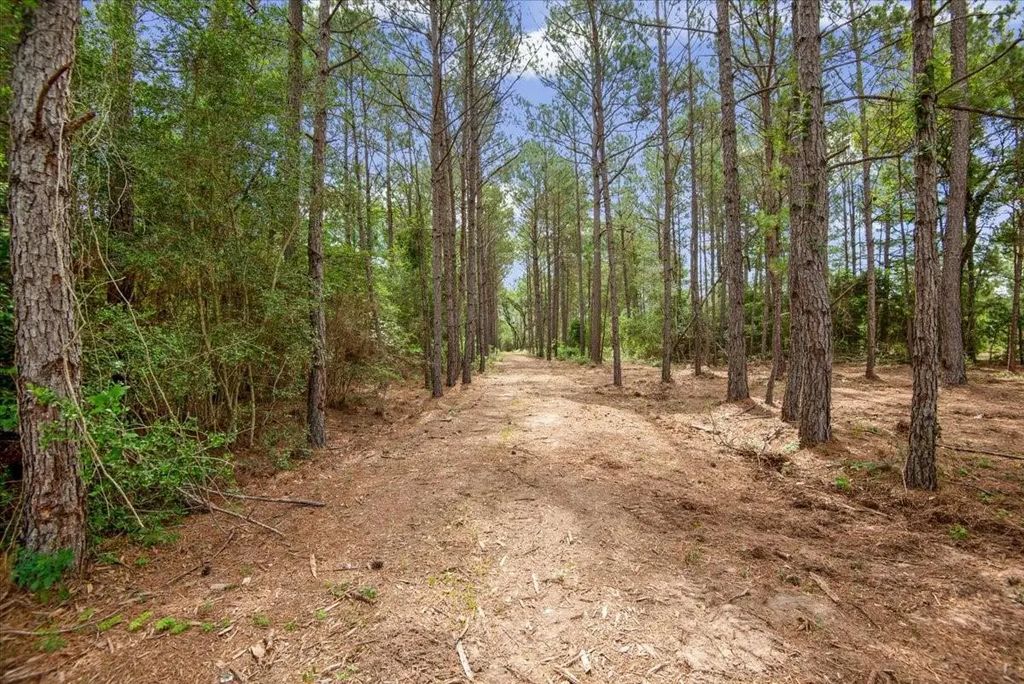 Tbd Lot 3 County Road 302, Plantersville