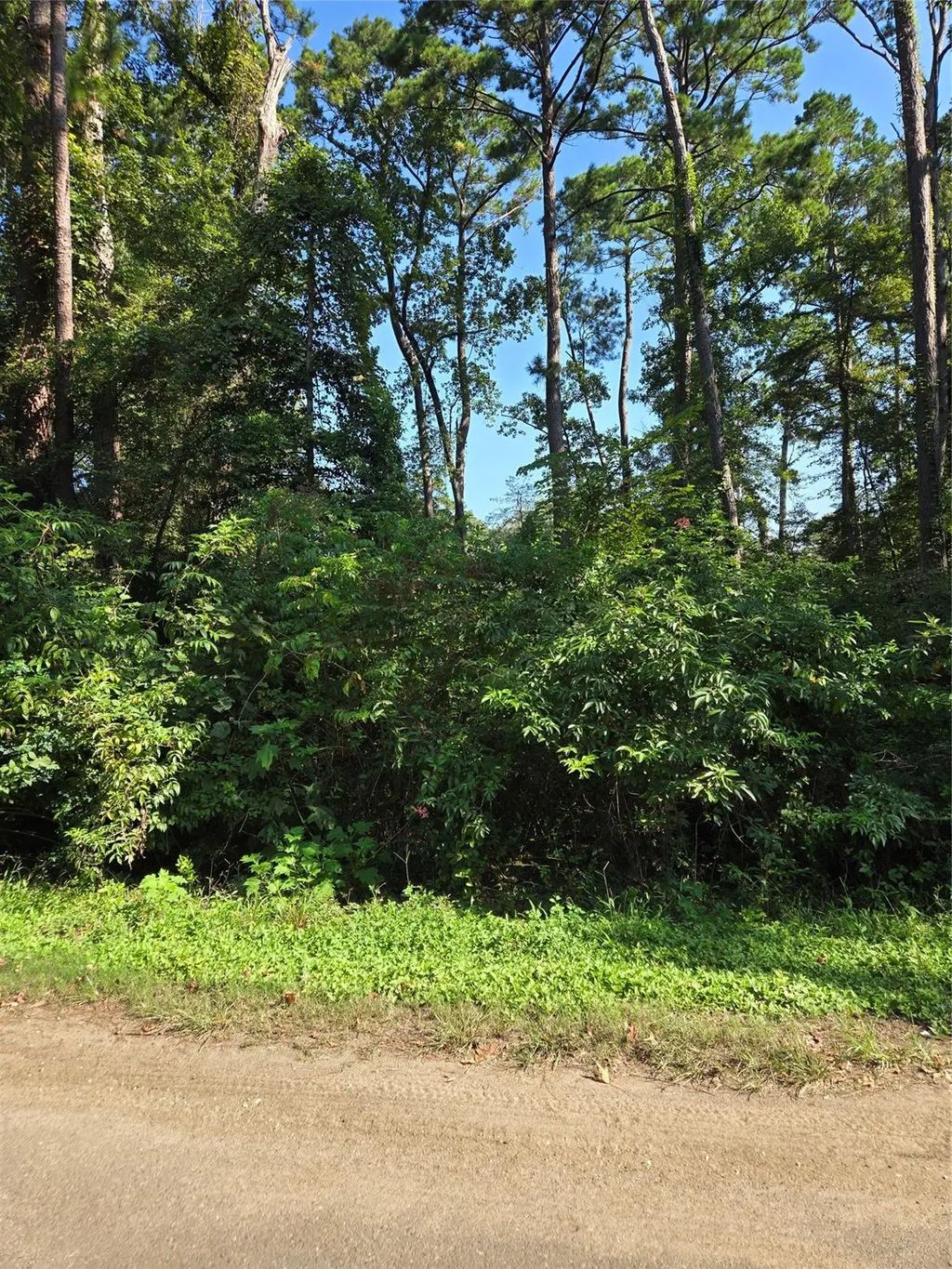 237 White Oak, Burkeville