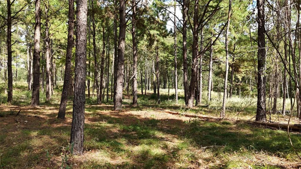Tbd Cherokee Trail, Lovelady