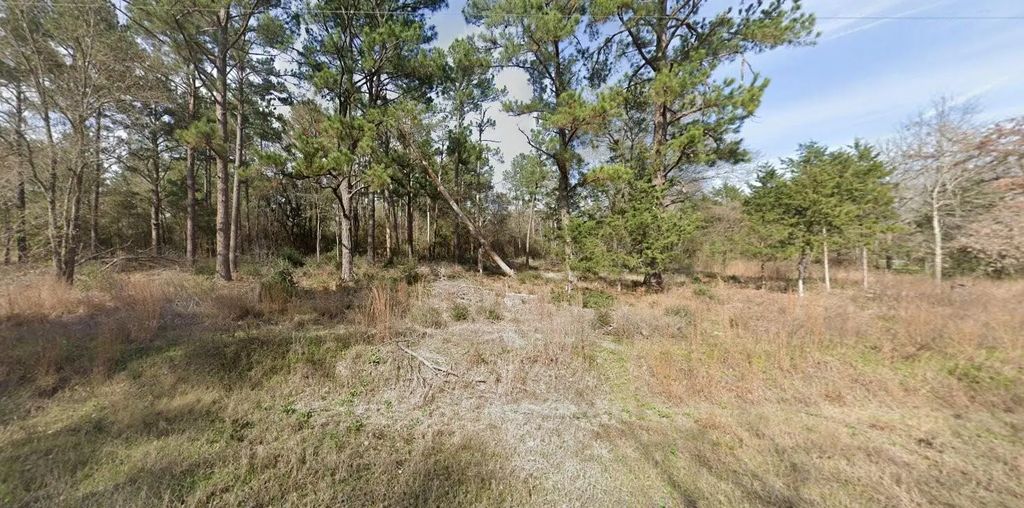 2699 County Road 144, Bedias