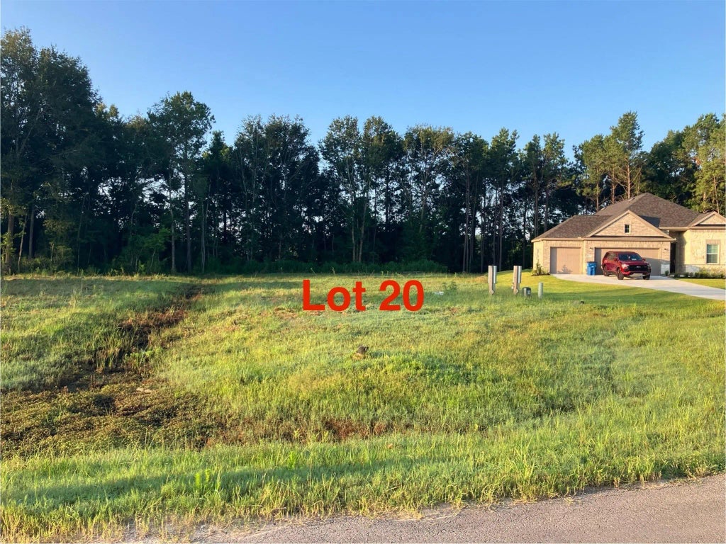 1091 Tarkington Timbers Drive, Cleveland