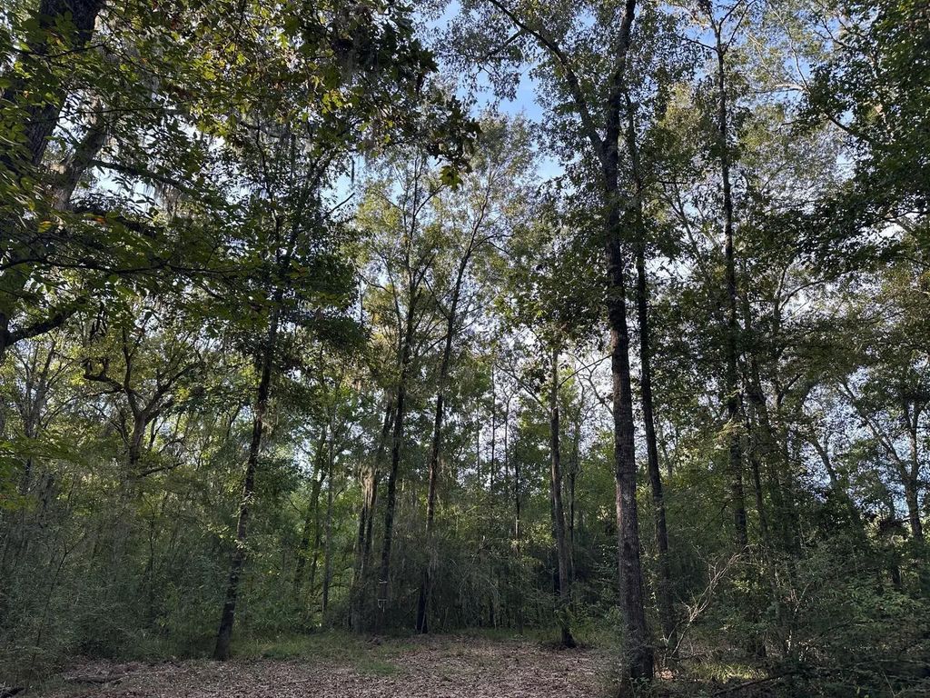 Buck Creek Drive, Shepherd