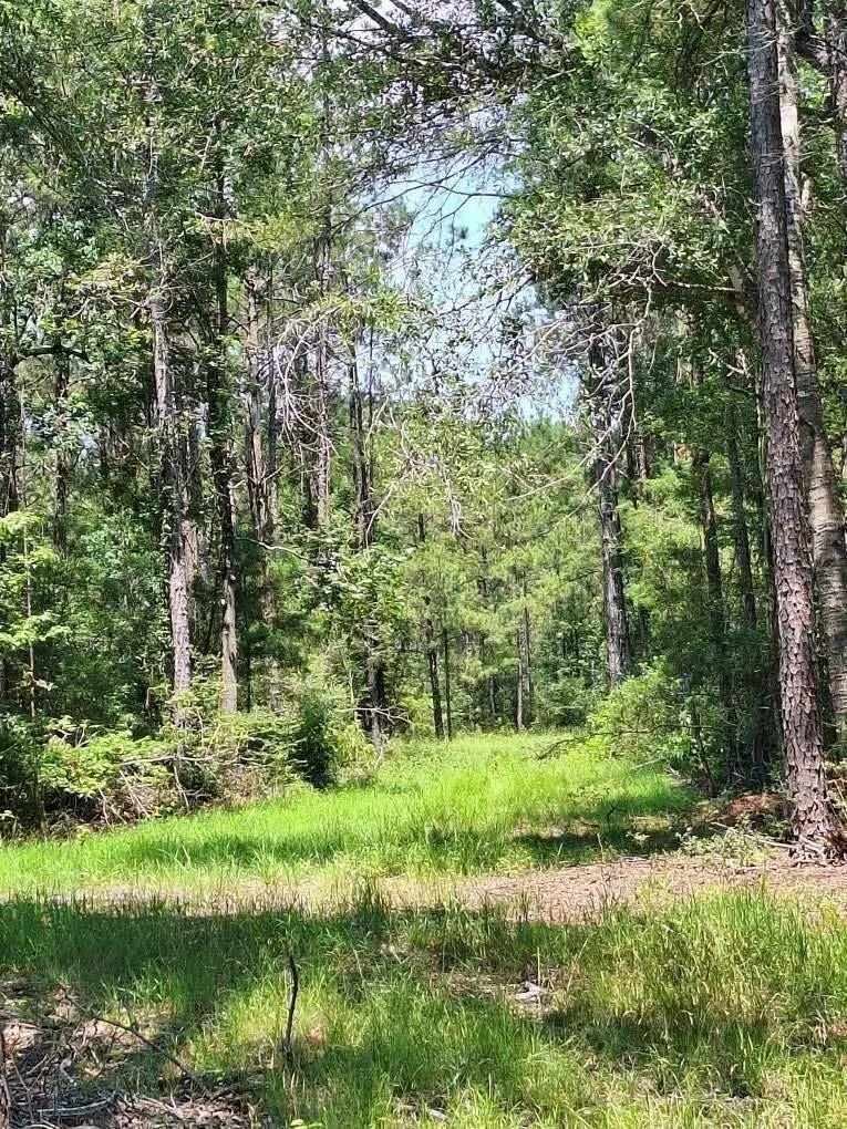 6801 Private Road 8235, Buna