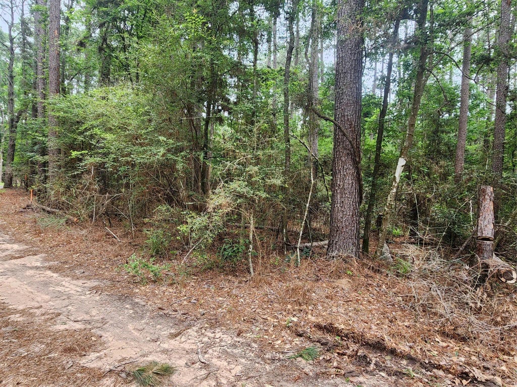 277 Long King, Livingston